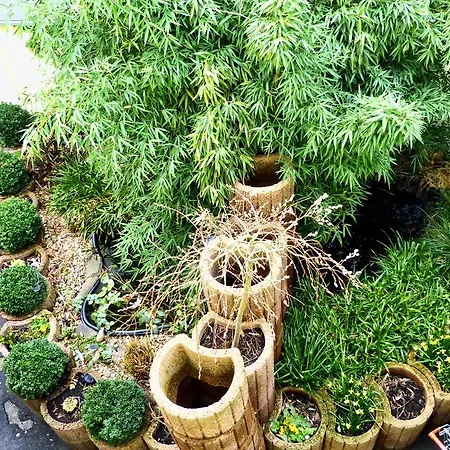 Messe-zimmer Tus-treff