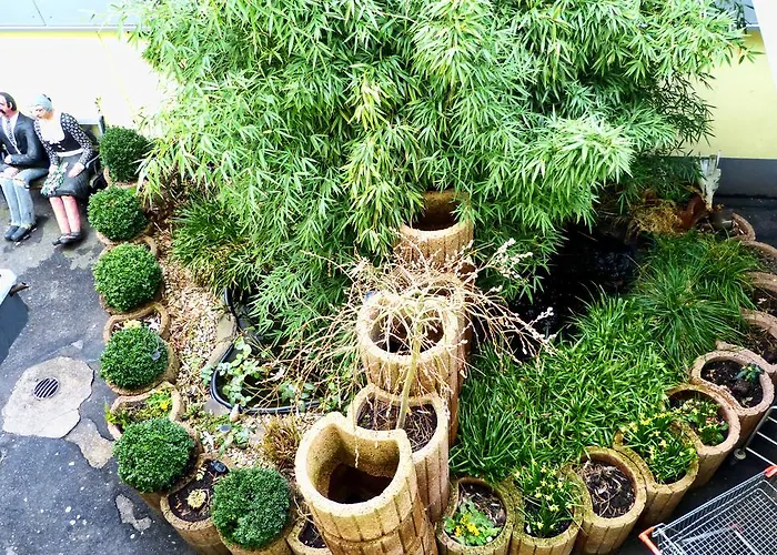 图斯-特雷夫展馆民宿